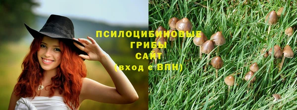 мдпв Вязьма