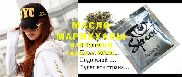индика Корсаков